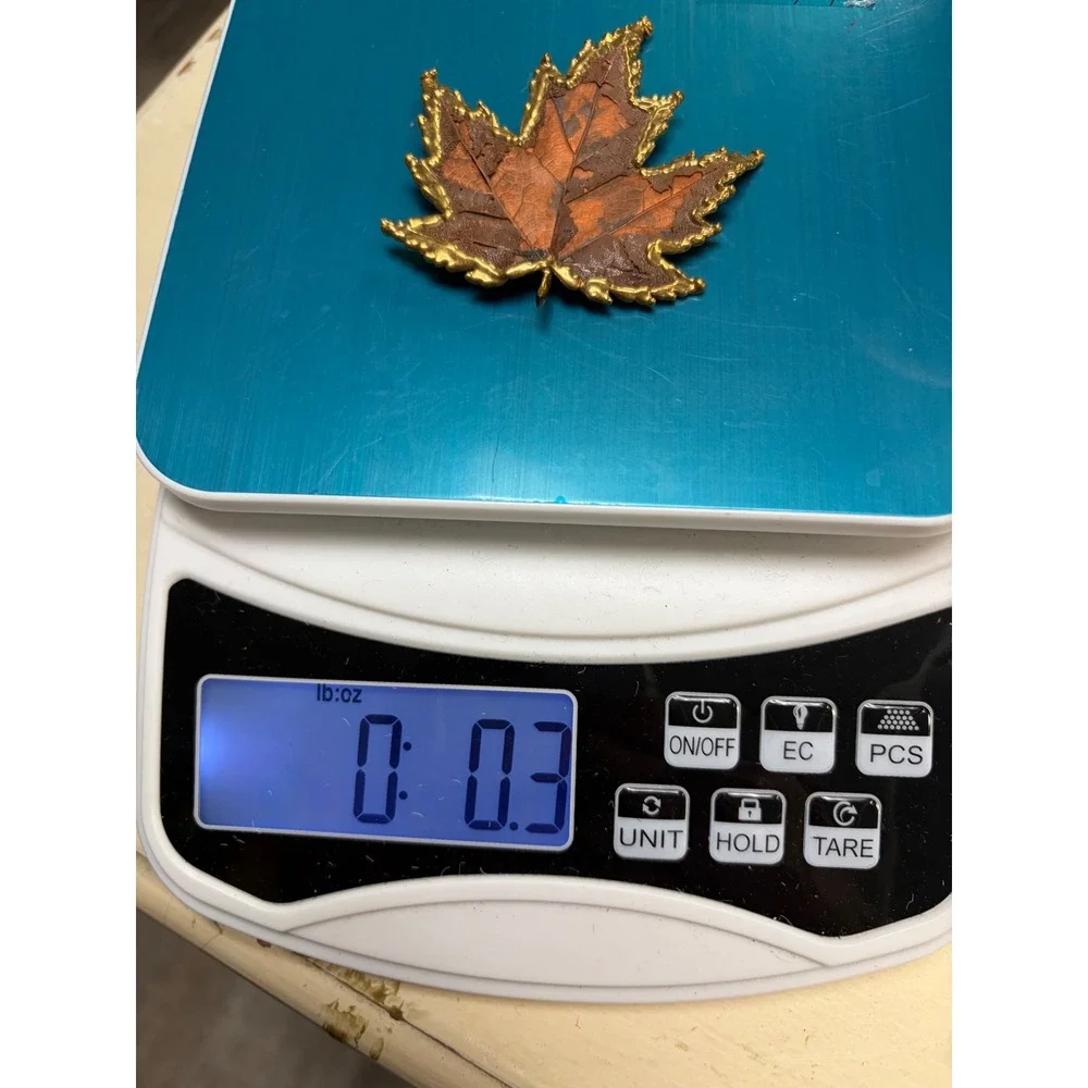 Vintage Real Maple Leaf Dipped in Gold Tone Brooch Pin Nature Jewelry 2.5 Inch
